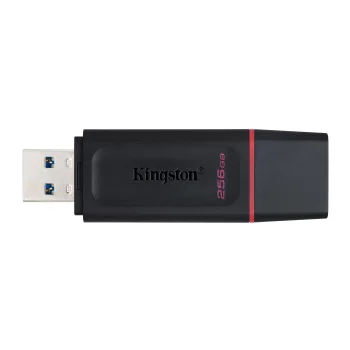 KINGSTON DataTraveler Exodia USB Atmintukas | Pink, 256GB