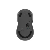 LOGITECH Signature M650 Wireless Belaidė Pelė | Graphite