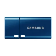 SAMSUNG MUF-256DA/APC USB Atmintukas | Blue, 256GB