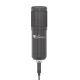 Komplektas: Kondensatorinis Mikrofonas Genesis Radium 400 Black (Juodas) + Pop-Filter + Shock-Mount + Adjustable Arm + Wind-Screen